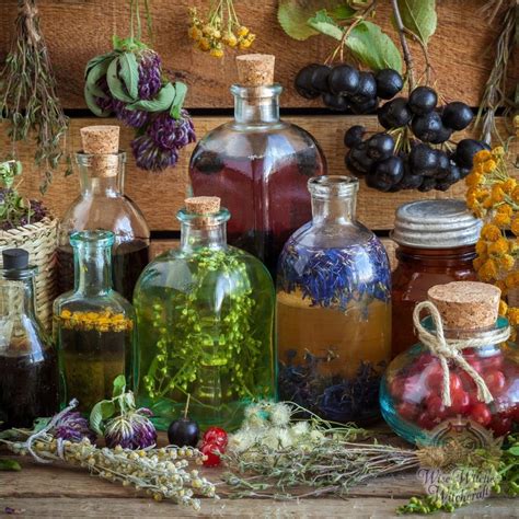 Finding Beauty in the Darkness: The Power of Autumn Witchcraft Potions